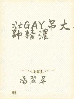 壮GAY吊大人帅精浓