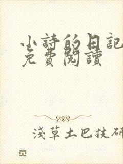 小诗的日记全文免费阅读