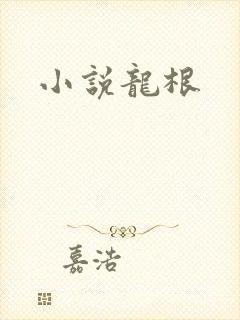 小说龙根