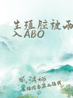 生殖腔被两根进入ABO