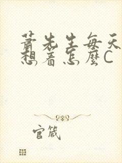 萧先生每天都在想着怎么C