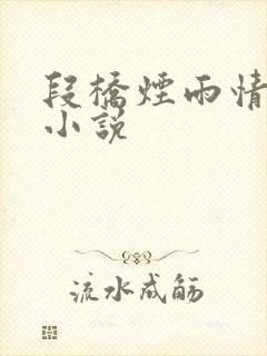 段桥烟雨情难离小说