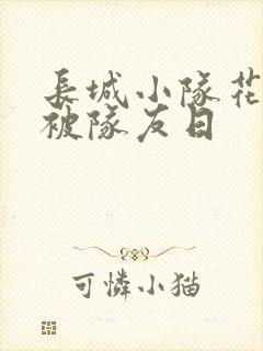 长城小队花木兰被队友日
