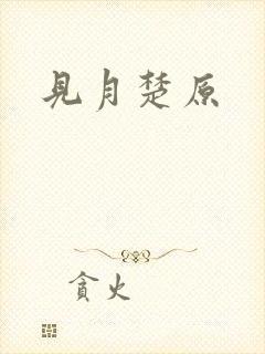 见月楚原