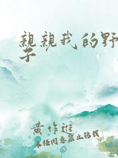 亲亲我的野猪王子