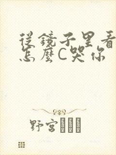 从镜子里看我是怎么C哭你