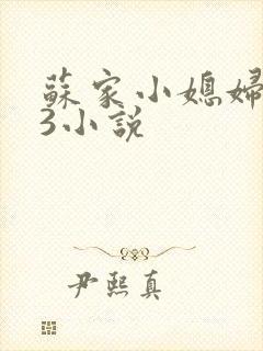 苏家小媳妇1V3小说