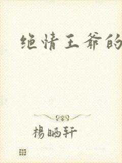 绝情王爷的丑妃