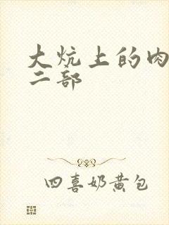 大炕上的肉伦第二部
