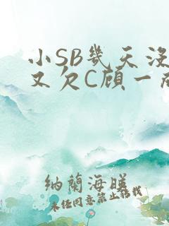 小SB几天没做又欠C顾一成视频