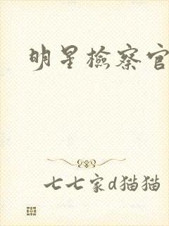 明星检察官小说