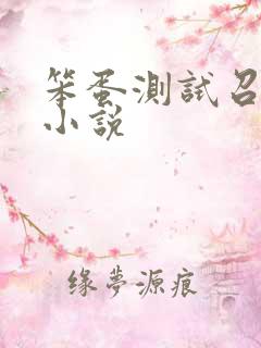 笨蛋测试召唤兽小说
