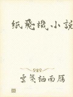 纸飞机小说