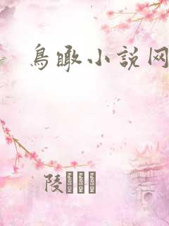 鸟瞰小说网