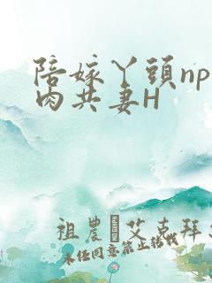 陪嫁丫头np全肉共妻H