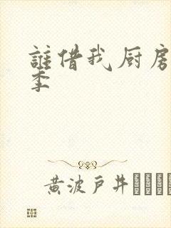 谁借我厨房第二季