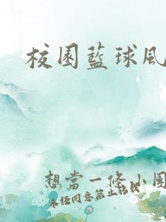 校园蓝球风云