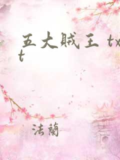 五大贼王 txt