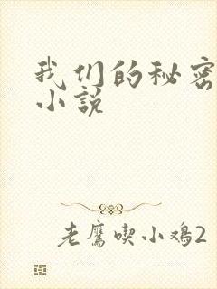 我们的秘密泰剧小说