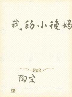 我的小后妈小说