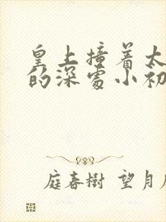 皇上撞着太子妃的深处小初