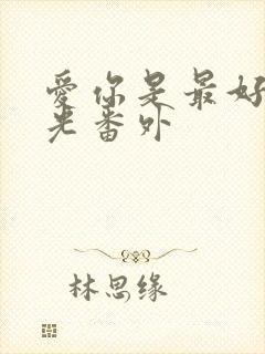 爱你是最好的时光番外