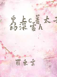 皇上c着太子妃的深处h