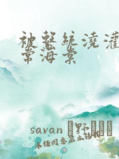 被系统浇灌的日常海棠