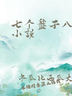 七个盘子八个碗小说