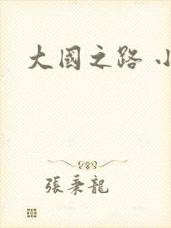 大国之路 小说