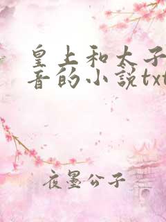 皇上和太子妃沈音的小说txt