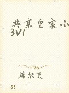 共享皇家小公主3V1