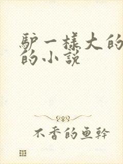 驴一样大的凶器的小说