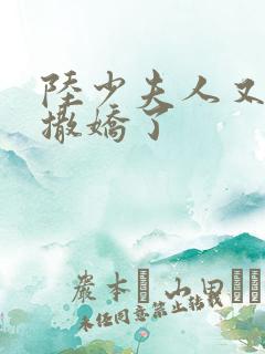 陆少夫人又双叒撒娇了