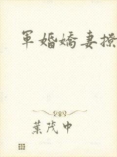 军婚娇妻撩人