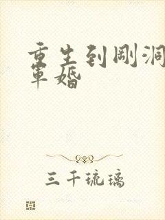 重生到刚洞房的军婚