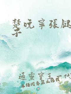 楚晚宁张腿放棋子