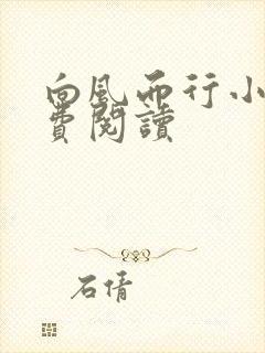 向风而行小说免费阅读