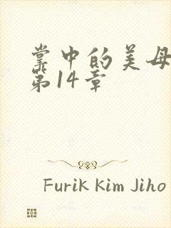 掌中的美母版主第14章