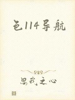 色114导航