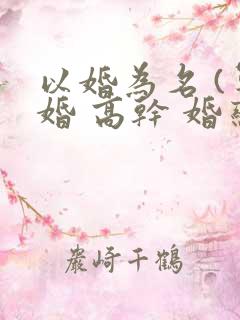 以婚为名 (军婚 高干 婚恋)