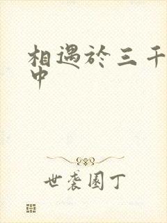 相遇于三千肉文中
