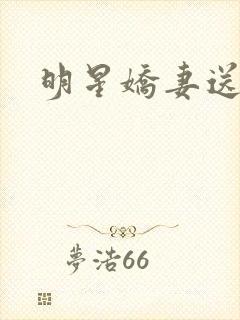 明星娇妻送上门