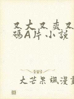 又大又爽又黄无码A片小说