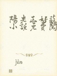 阳光正好苏玥玥小说免费阅读无弹窗