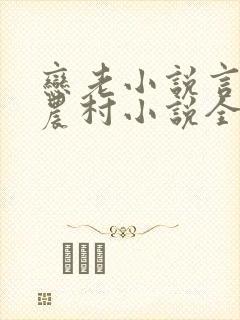 恋老小说言情网农村小说全文阅读