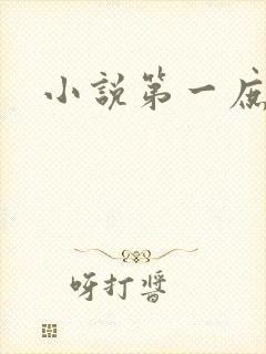 小说第一庶女