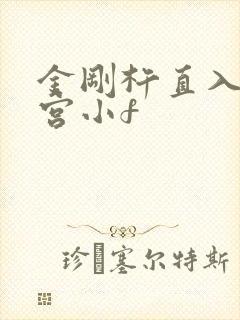 金刚杵直入莲花宫小f