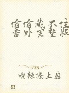 偷偷藏不住新婚番外完整版