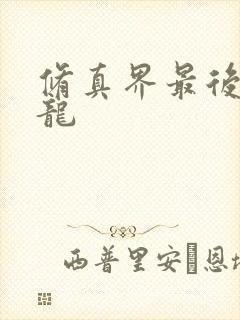 修真界最后一条龙